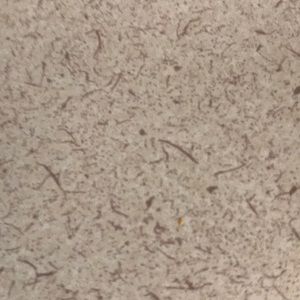 Meet your Posher, Edith